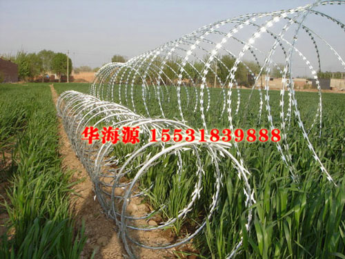 蛇腹型刀片刺網(wǎng)